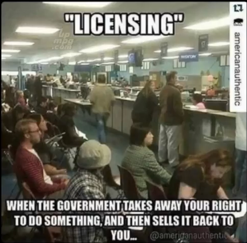 Licensing - when the government takes away your right to do something, and then sells it back to you.